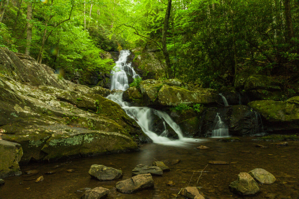 skinny water fall on mossy rocks in dense forest