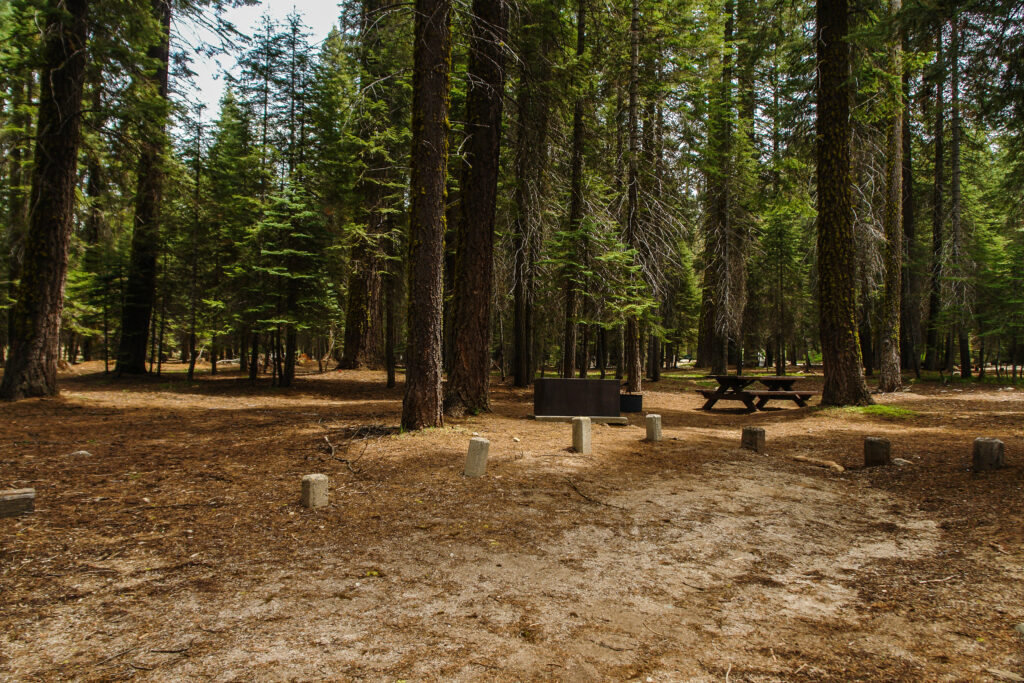empty campsite surrounded by trees with a picnic table